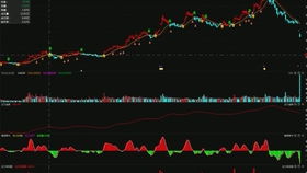 競(jìng)價(jià)外包托管客服發(fā)貨篇 貨到付款如何用順豐軟件下單與競(jìng)價(jià)冷門產(chǎn)品的軟件外包服務(wù)解析